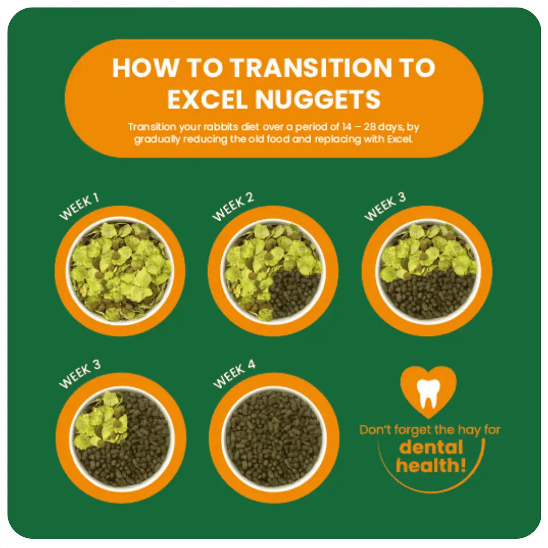 Burgess Excel – Indoor Rabbit Nuggets