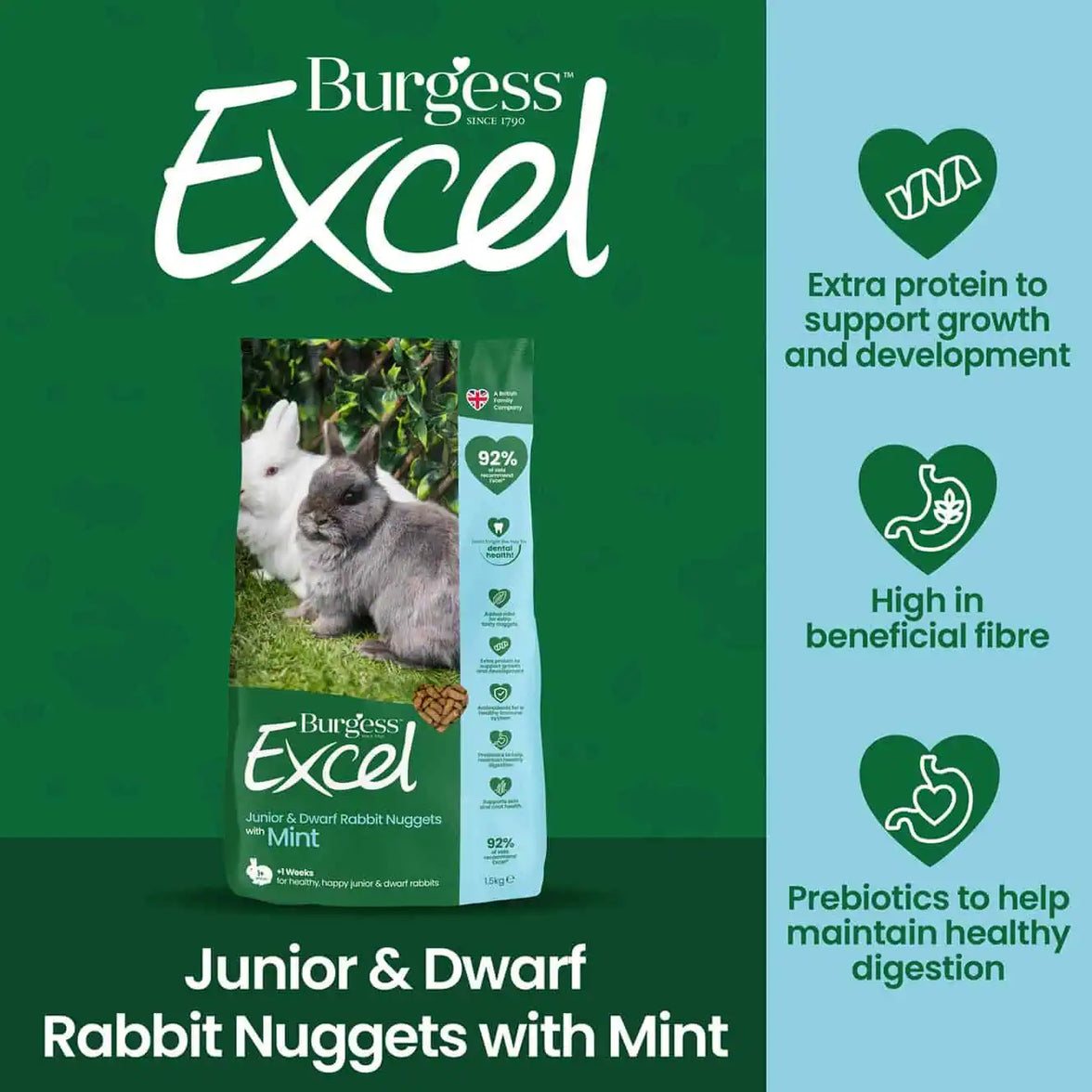 Burgess Excel – Junior & Dwarf Rabbit Nuggets with Mint