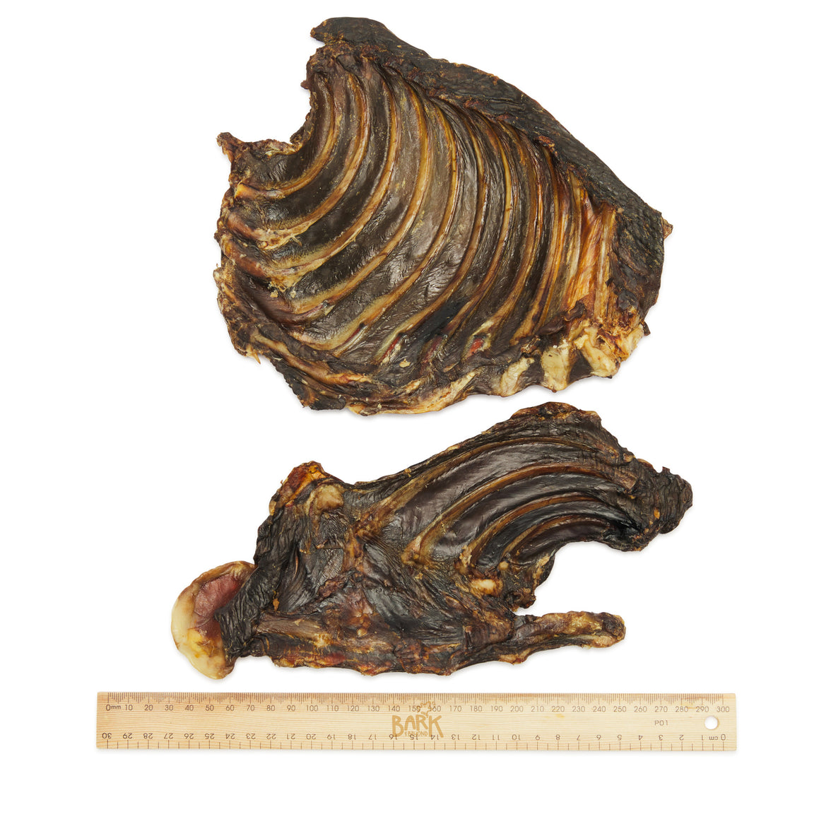 Kangaroo Ribs for Dogs