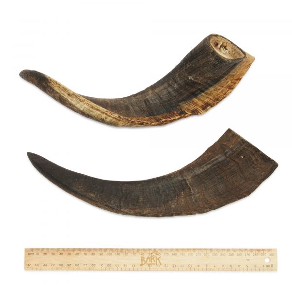 Bark & Beyond – Goat Horn - image 4