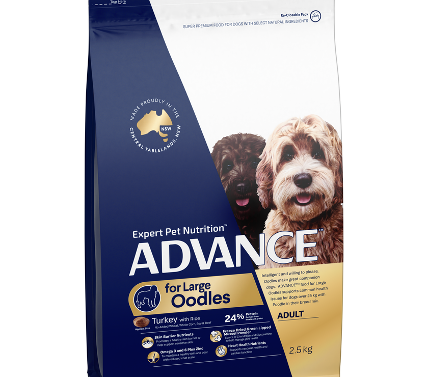 Advance Adult Dog Food for Large Oodles