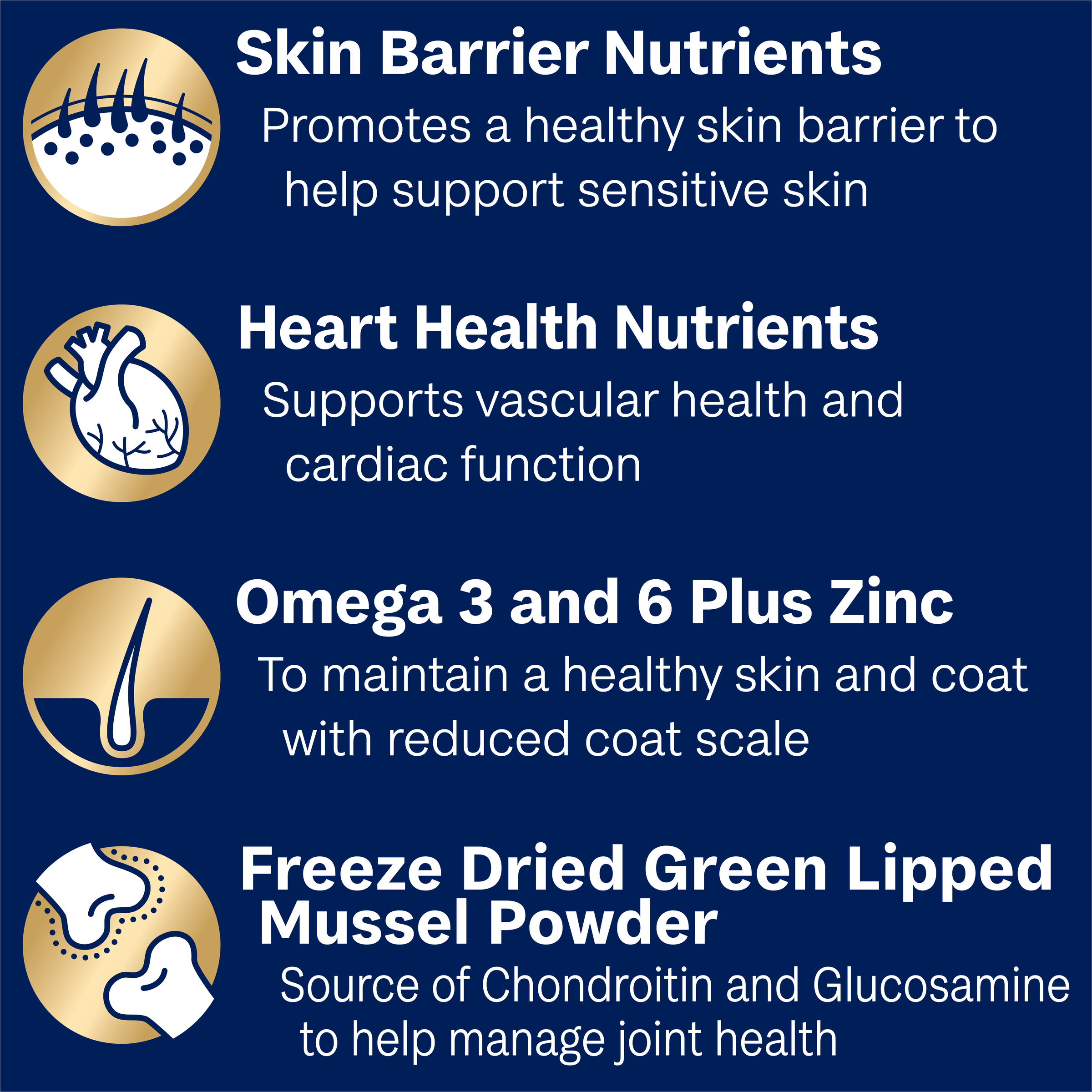 Advance Adult Dog Food for Large Oodles