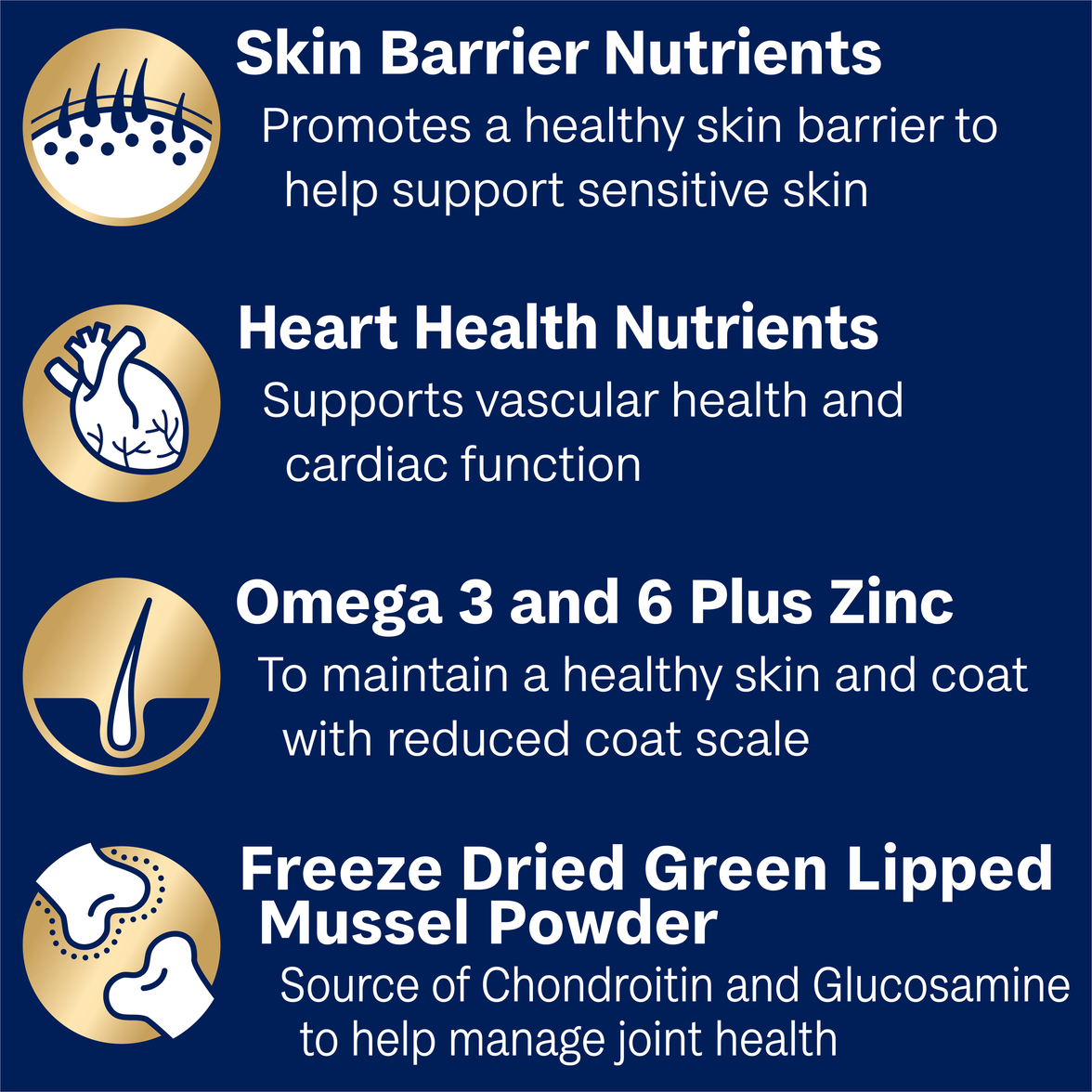 Advance Adult Dog Food for Large Oodles