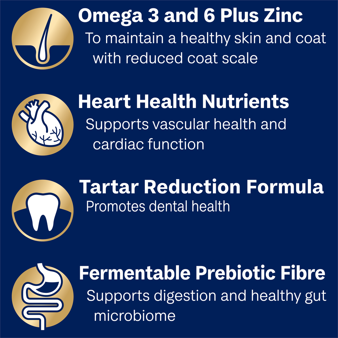 Advance Dog Food for Small Oodles