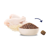 Advance Dry Cat Food for Kitten, Chicken Flavour
