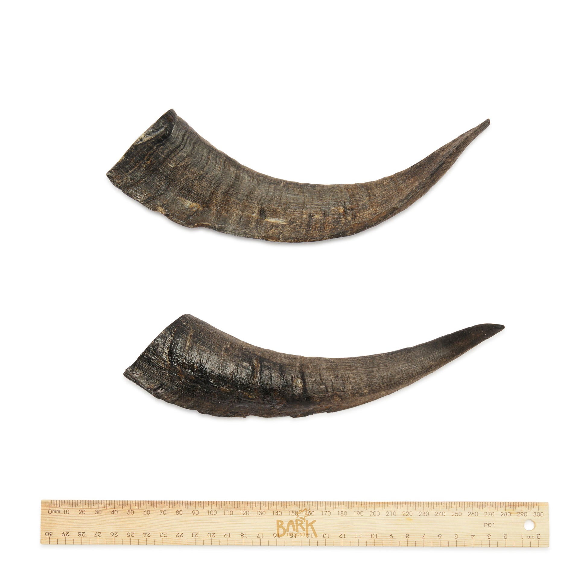 Bark & Beyond – Goat Horn - image 5