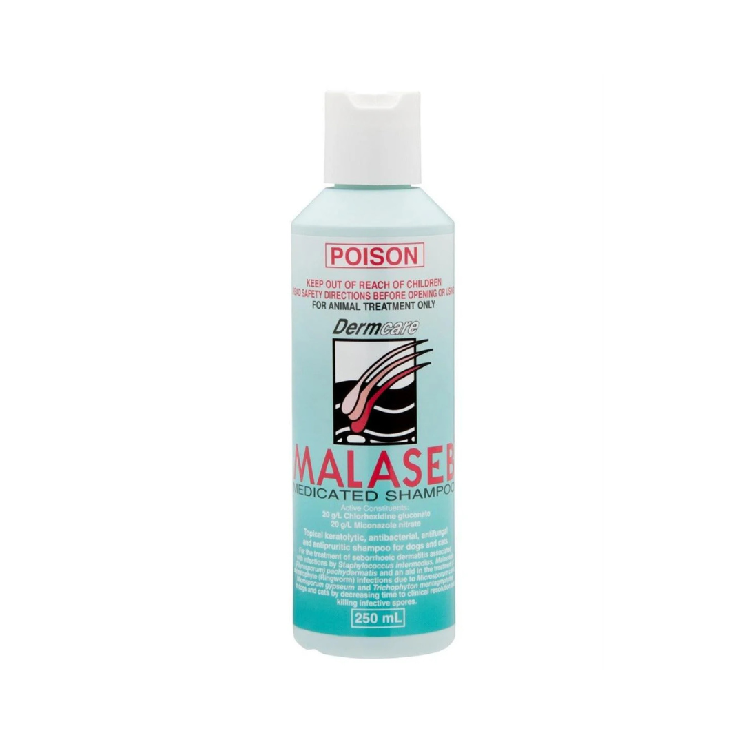 Malaseb Shampoo | Dermcare Malaseb Medicated Shampoo