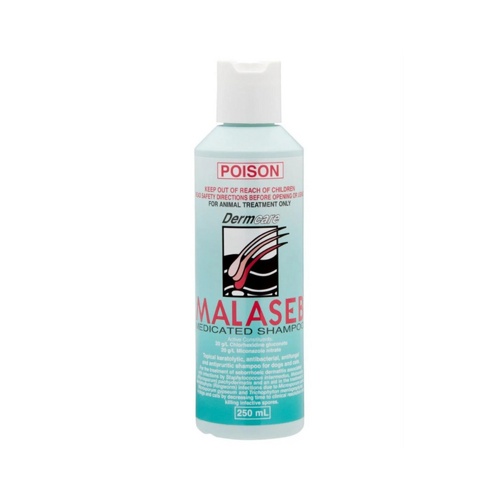 Malaseb Shampoo | Dermcare Malaseb Medicated Shampoo