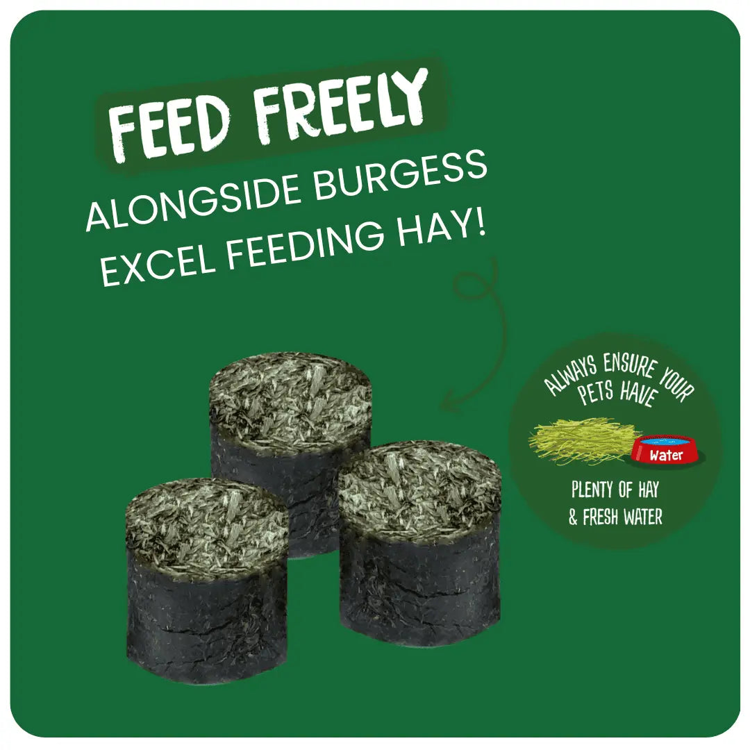Burgess Excel – Nature Snacks – Meadow Munchies - image 3