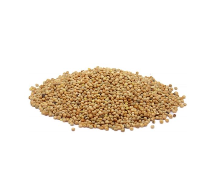 Falcon Seeds – White Millet