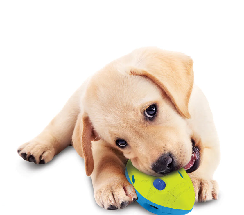 NERF DOG – LED Football