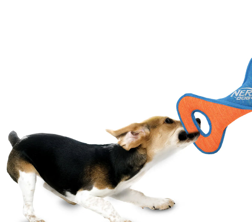 NERF DOG – X-Weave Infinity Twist Tug