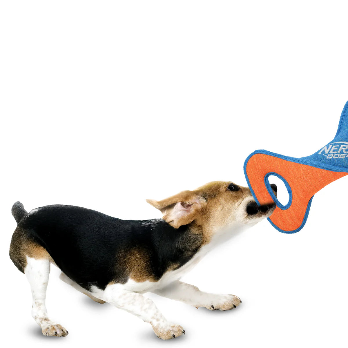 NERF DOG – X-Weave Infinity Twist Tug - image 4