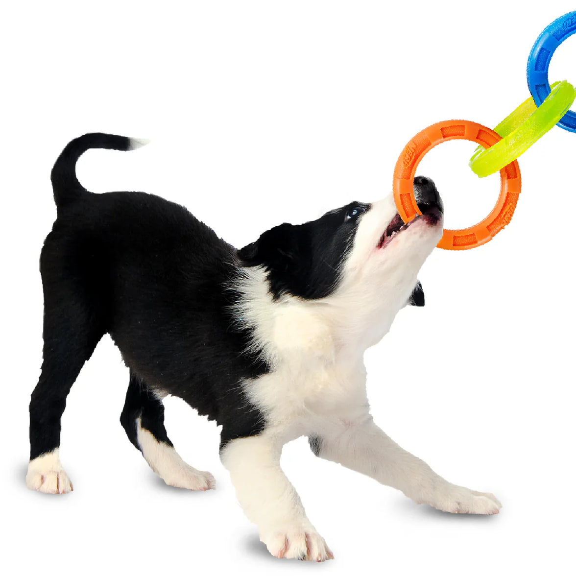 NERF DOG – 3 Ring Tug