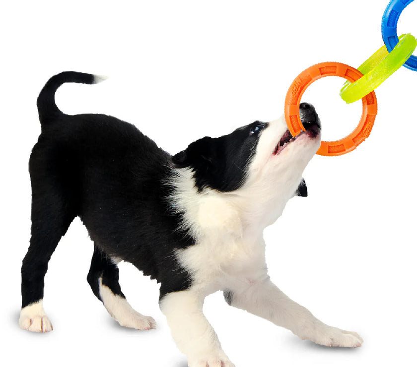 NERF DOG – 3 Ring Tug