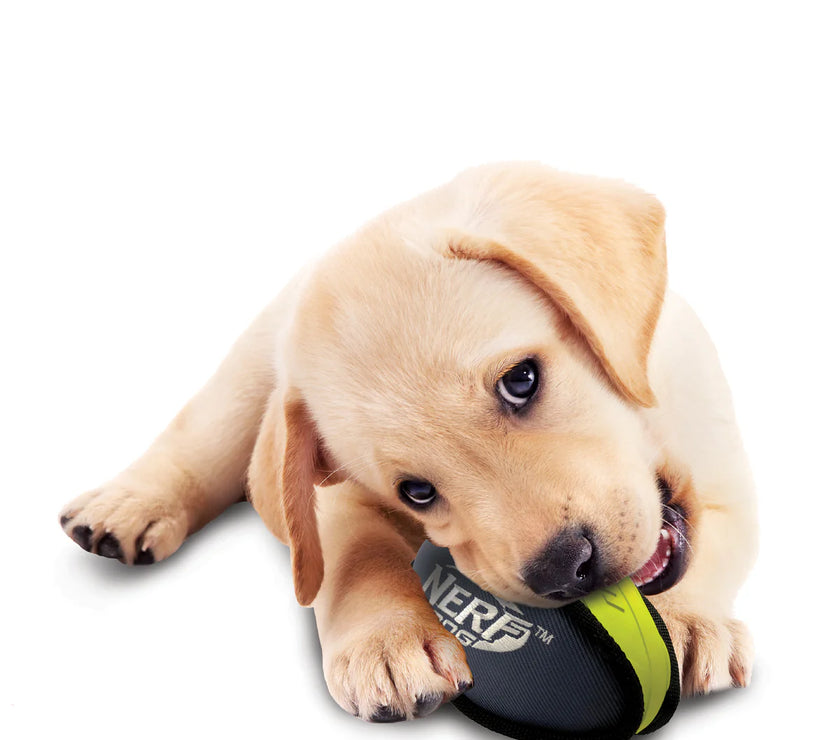 NERF DOG – Rubber/Nylon Plush Football