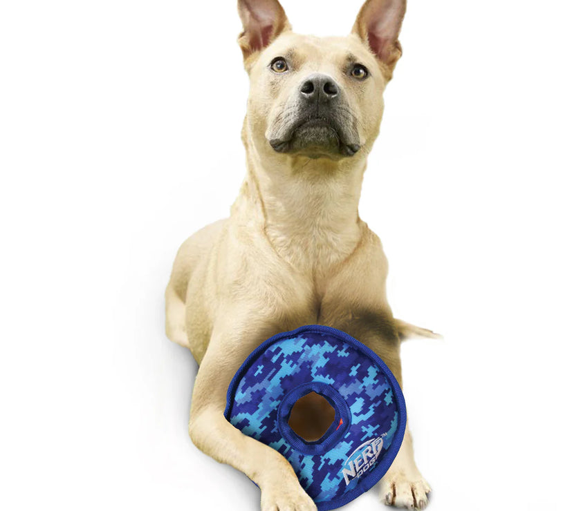 NERF DOG – Toss & Tugg Ring