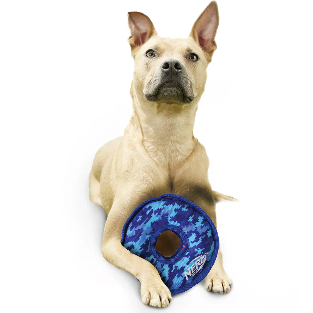NERF DOG – Toss & Tugg Ring - image 5
