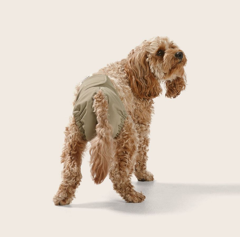 Washable Dog Nappy – Twin Pack for Female Dogs - image 2