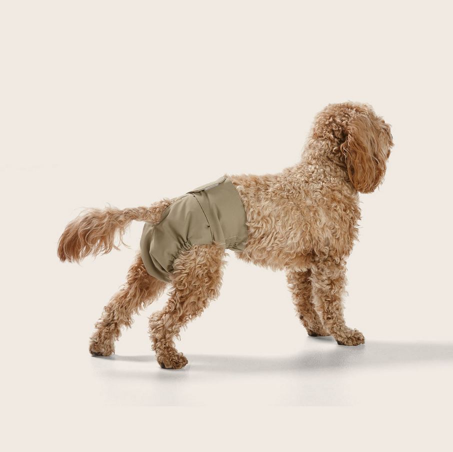 Washable Dog Nappy – Twin Pack for Female Dogs - image 3