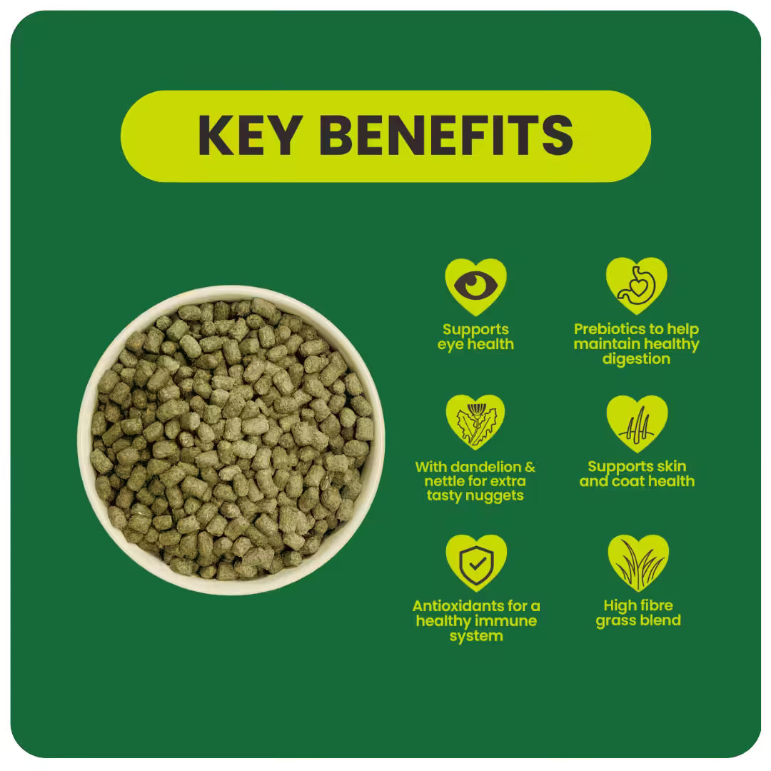 Burgess Excel – Nature's Blend Adult Rabbit Nuggets with Hedgerow Herbs