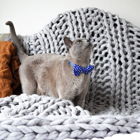 Dan & Sam – Cat Collar & Bowtie – Navy Dream - image 2