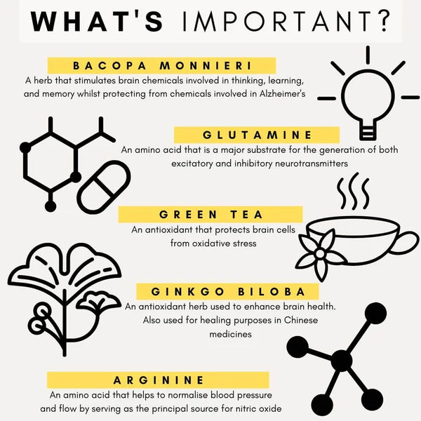 PetzPark – Brain Support – For Dogs