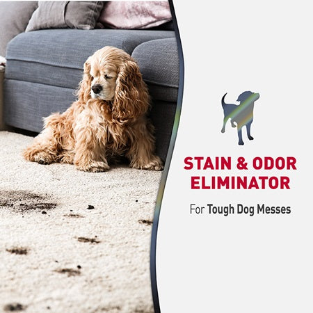 Nature’s Miracle – Advanced Stain & Odor Eliminator (Dog) - image 7