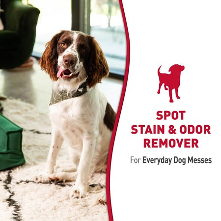 Nature’s Miracle – Stain & Odor Remover (Dog)
