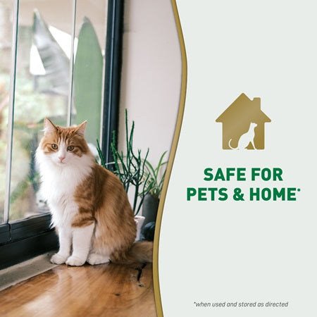 Nature’s Miracle – Urine Destroyer Plus (Cat)