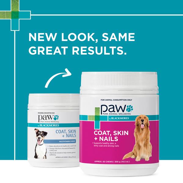 Blackmores PAW – Coat, Skin + Nails Multivitamin Chews - image 2