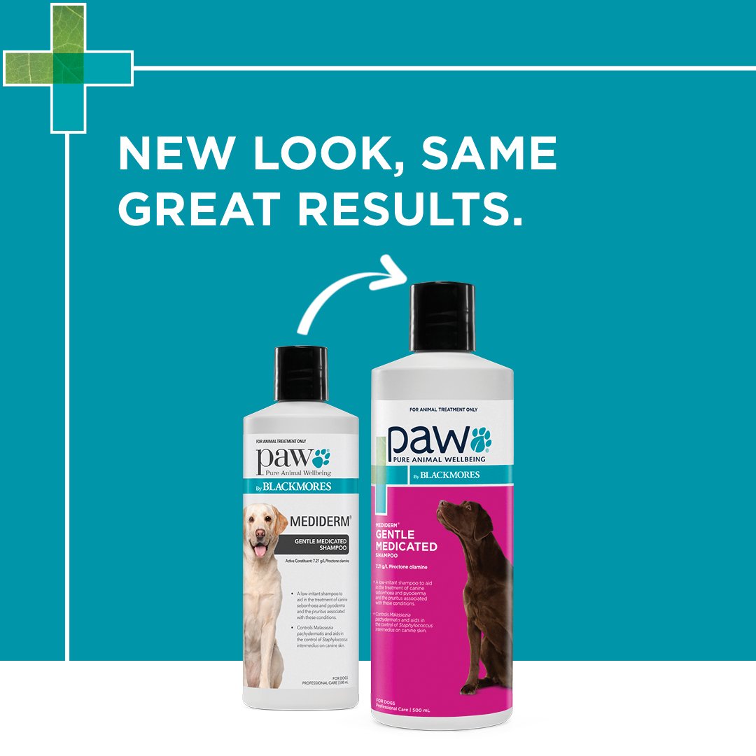 Dog Medicated Shampoo - image 2