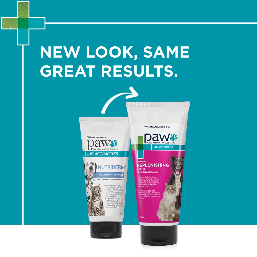 Nutriderm Dog Shampoo - Blackmores Paw – NutriDerm Replenishing Shampoo
