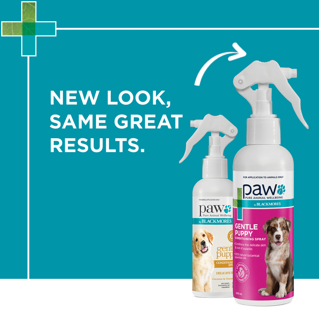 Blackmores PAW – Puppy Conditioning Spray
