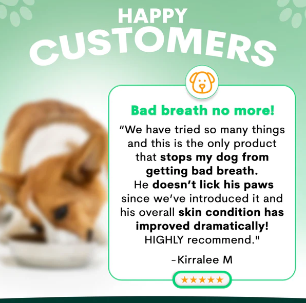 Petz Park Probiotic for Dogs