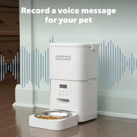 PetSafe FlexFeed Automatic Pet Feeder – Programmable Feeder for Cats & Small Dogs