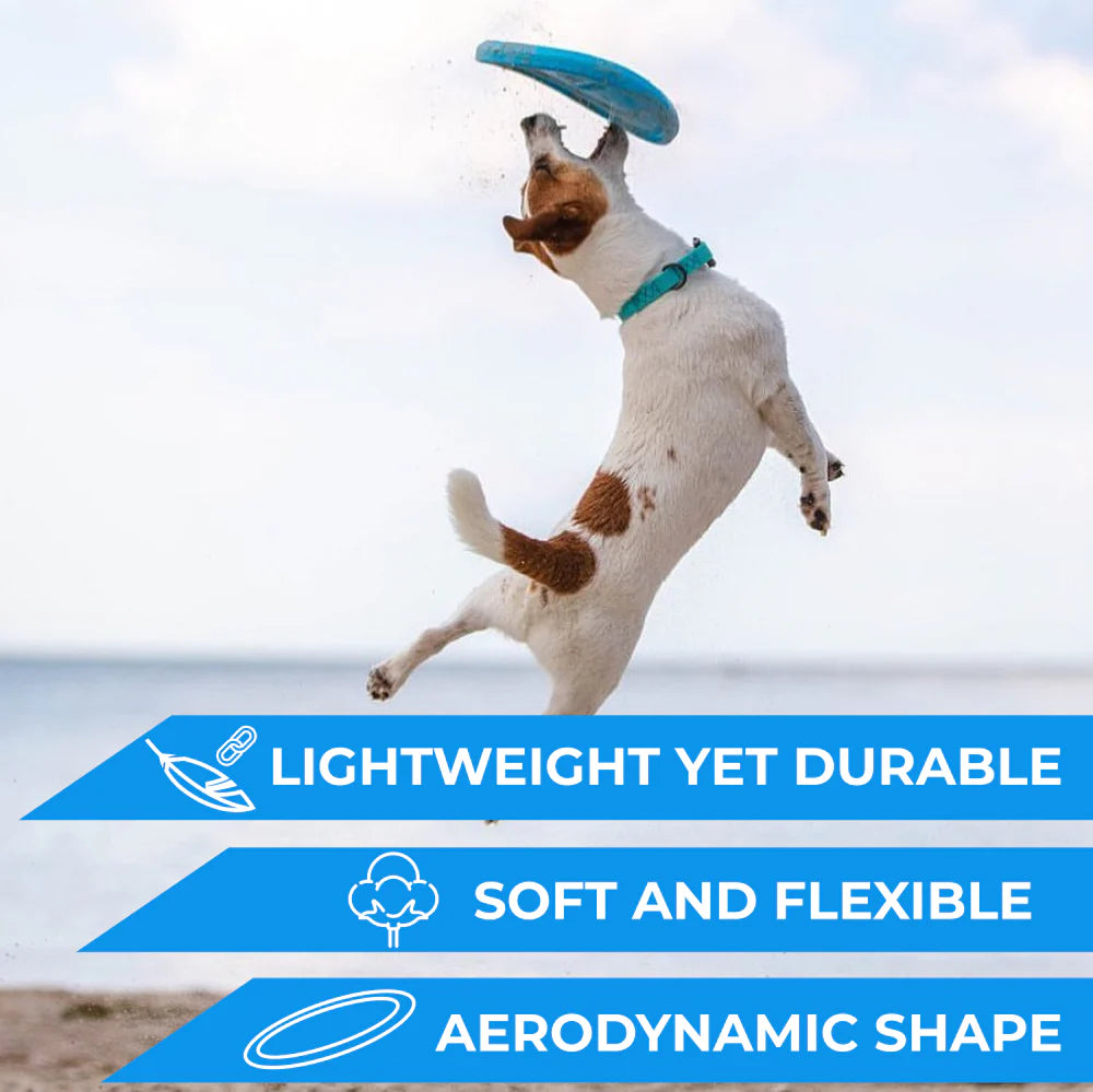 PitchDog – Flying Disk - image 7