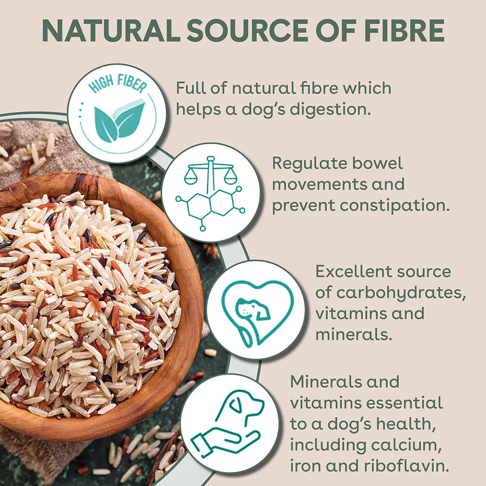 Pure Life – Adult Dog – Freeze-Dried Raw Coated Kibble – Lamb & Kangaroo