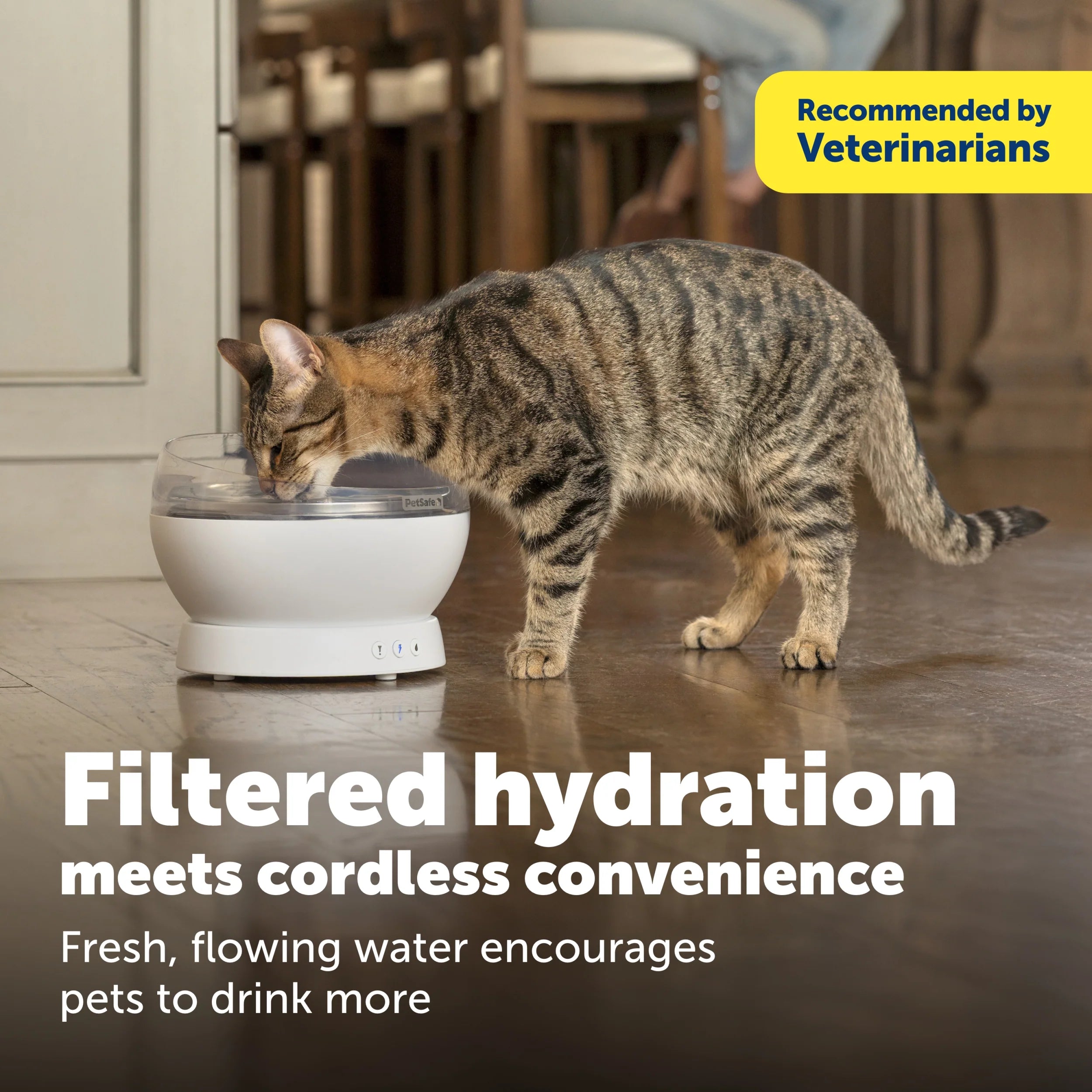 PetSafe – HydroSphere 1.7L Cordless Fountain