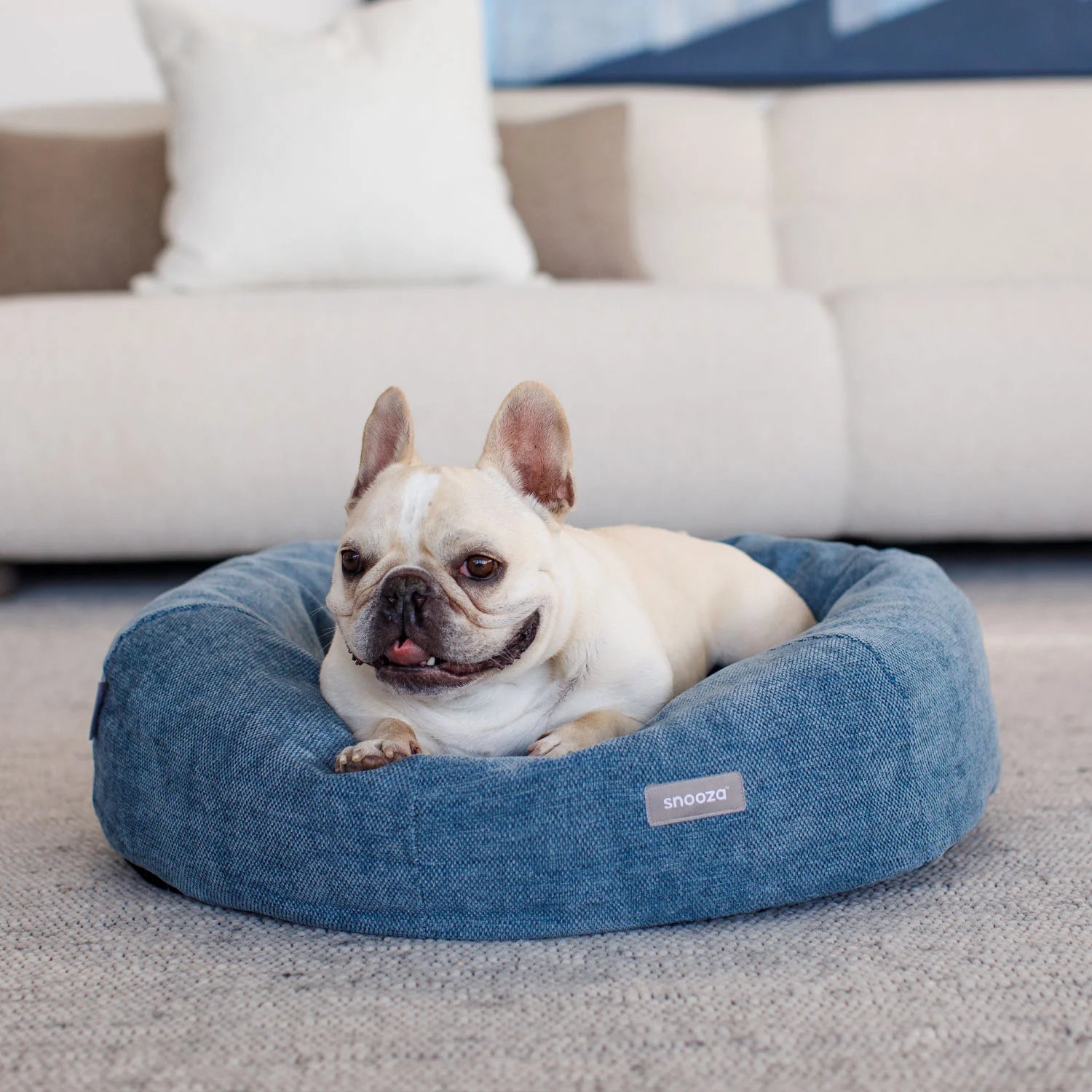 The Pet Standard