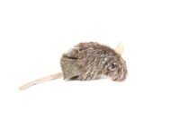 GiGwi – Refillable Catnip – Naturals Mouse