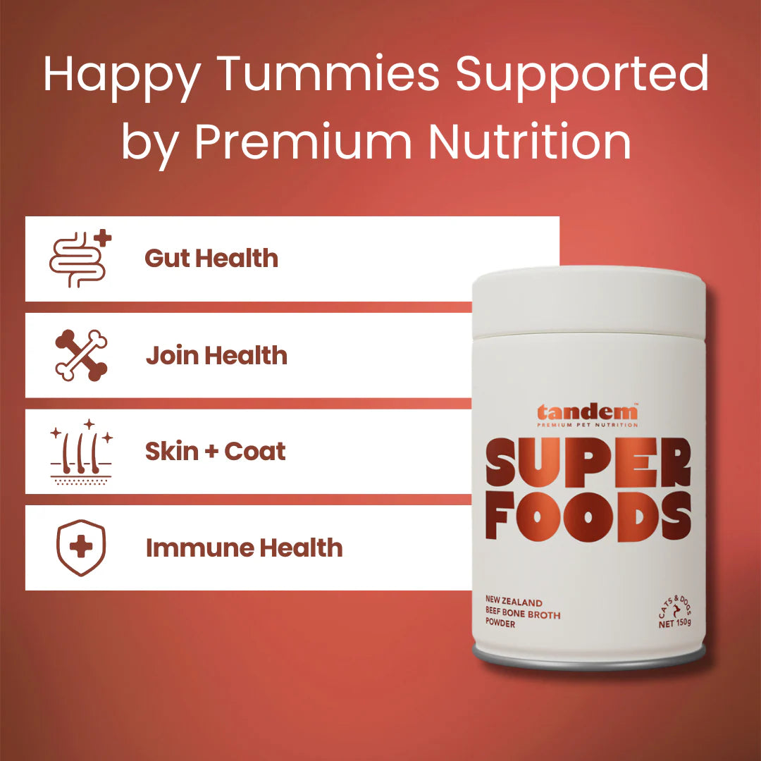 Tandem – Super Foods – New Zealand Beef Bone Broth Powder for Cats & Dogs - image 5