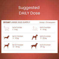 Tandem – Super Foods – New Zealand Beef Bone Broth Powder for Cats & Dogs