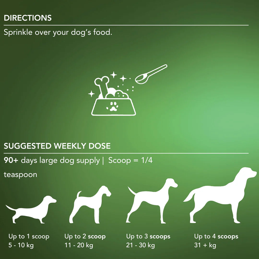 Tandem – Super Foods – New Zealand Organic Kelp Powder for Cats & Dogs