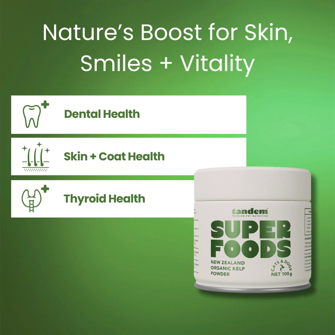 Tandem – Super Foods – New Zealand Organic Kelp Powder for Cats & Dogs - image 6