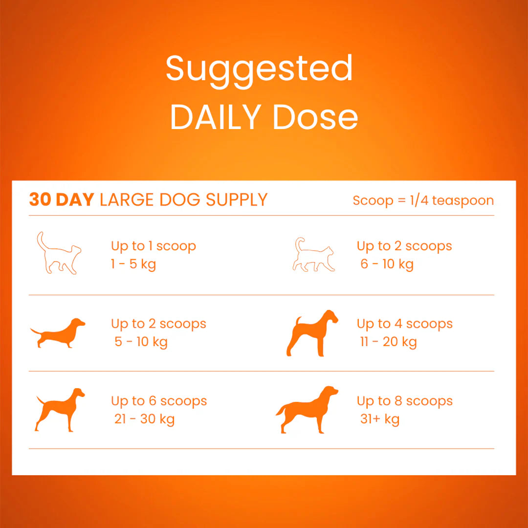 Tandem – Super Foods – New Zealand Pumpkin Powder for Cats & Dogs