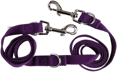 Dog Lead Adjustable Webbing