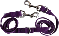 Dog Lead Adjustable Webbing