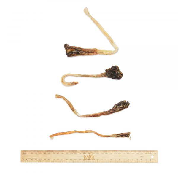 Bark & Beyond – Roo Tendons - image 3