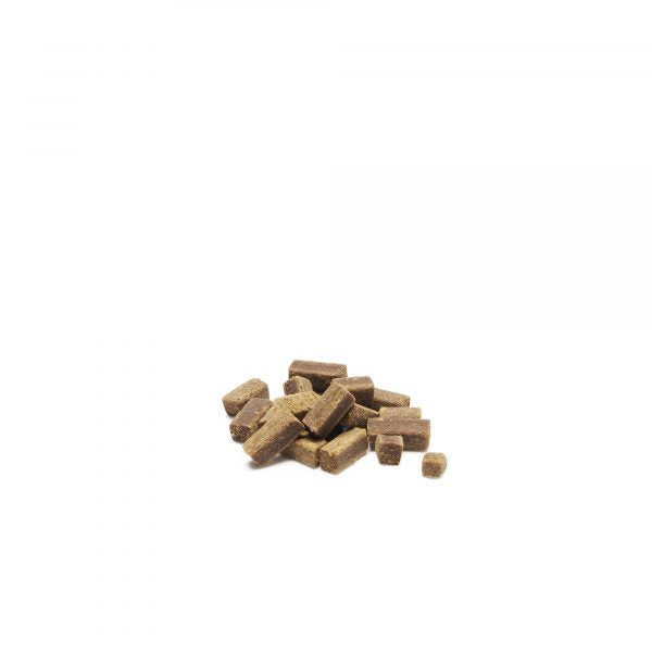 Bark & Beyond – Roo Trainers - image 3